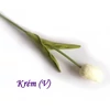 Kép 7/20 - Krém 