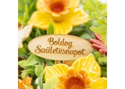 Születésnap, névnap