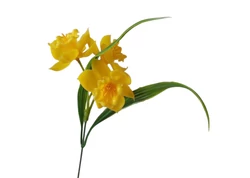 Virágokcsokrok-betűzők-szálak