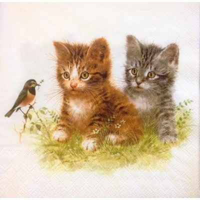 Szalvéta - Cica barátok