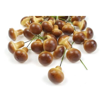 Gomba betűző, barna Gomba betűző, barna