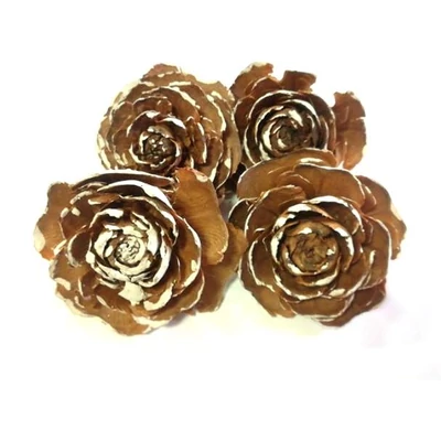 Mini tobozrózsa barna-havas Mini tobozrózsa barna-havas