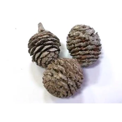 Mini toboz Muirii, hamvas