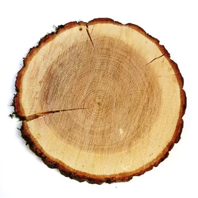 Farönk szelet kör,  8-9 cm  Farönk szelet kör,  8-9 cm