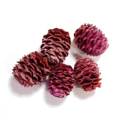 Mini toboz Meridianum, bordó - 5db/cs