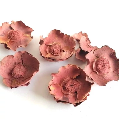 Kókusz virág termés,  hamvas bordó