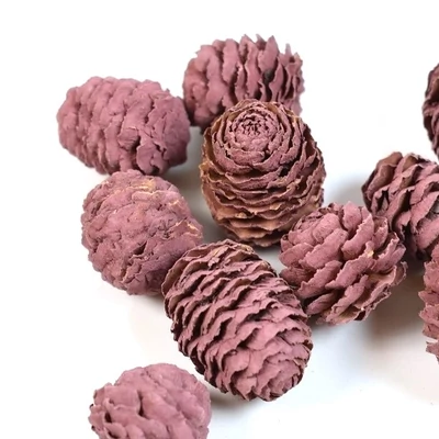 Mini toboz Meridianum, szeder - 5db/cs