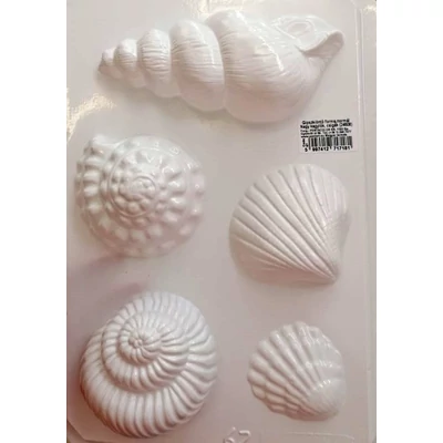 Gipszkiöntő forma, normál - Nagy kagylók, csigák 5db-os