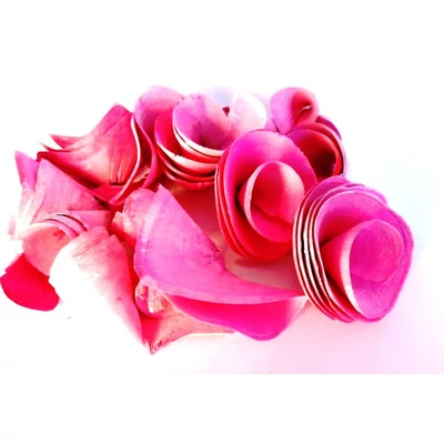 Háncsvirág termés, rózsaszín