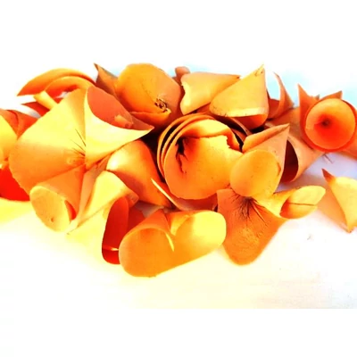 Háncsvirág termés, narancssárga