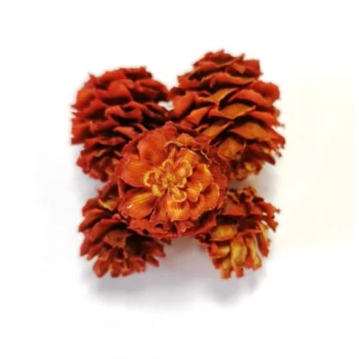 Mini toboz Salignum, narancs