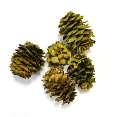 Mini toboz Salignum, zöld