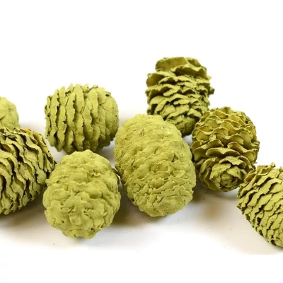 Mini toboz Meridianum, olajzöld - 5db/cs