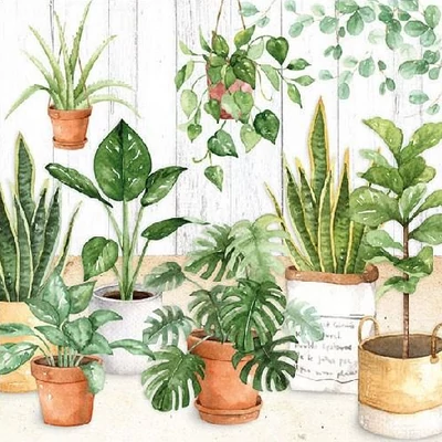 Szalvéta - Növények a kertben