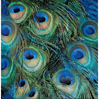 Szalvéta - Pávatoll minta