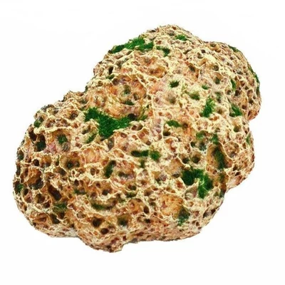 Mohás műszikla, nagy