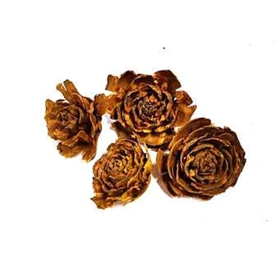 Mini tobozrózsa okkersárga Mini tobozrózsa okkersárga