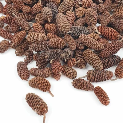 Toboz éger mini barna