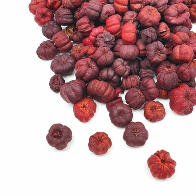 Termés liliputi mini tök bordó