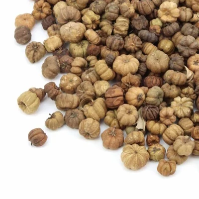 Termés liliputi mini tök barna