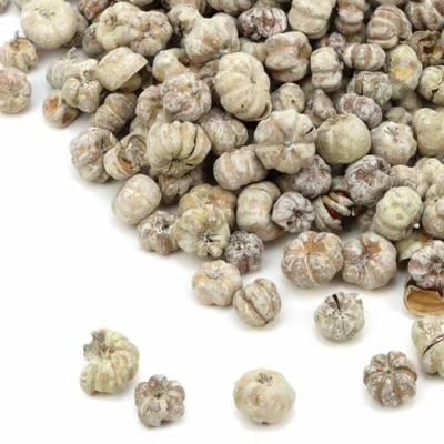 Termés liliputi mini tök barna hamvas