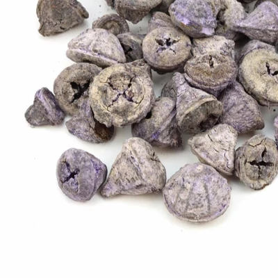 Eukaliptusz termés - hamvas lila