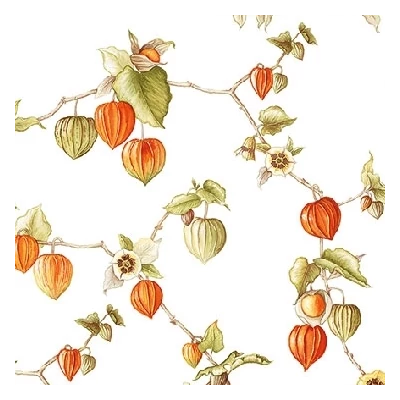 Kokél szalvéta - Lampionvirág