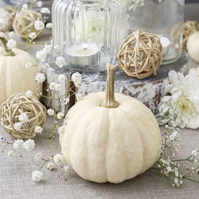 Szalvéta - Tökös asztaldísz