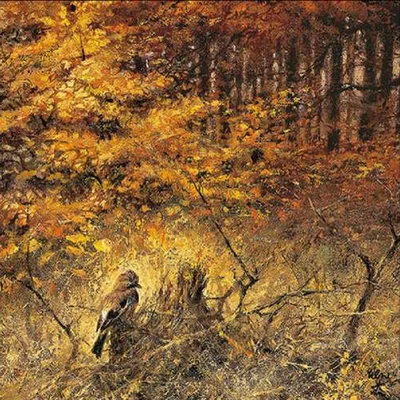 Szalvéta - Őszi erdő