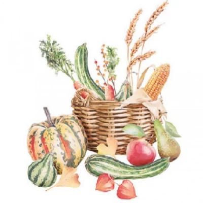 Kokél szalvéta - Őszi piknik kosár