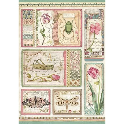 Rizspapír A4 - Botanikus kártyák Rizspapír A4 - Botanikus kártyák