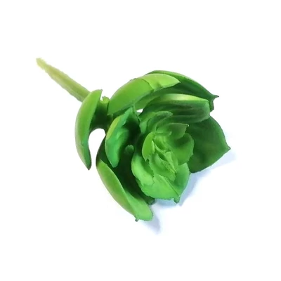 Pozsgás műnövény, zöld