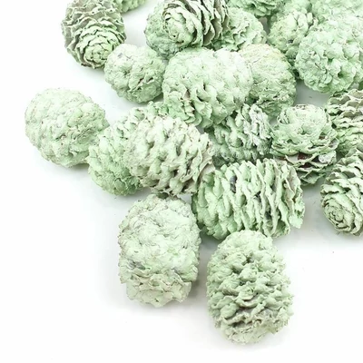 Mini toboz Meridianum, halványzöld- 5db/cs