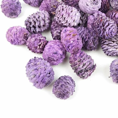 Mini toboz Meridianum, lila - 5db/cs