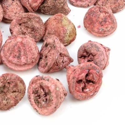 Eukaliptusz termés - hamvas piros