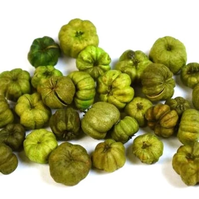 Termés liliputi mini tök zöld