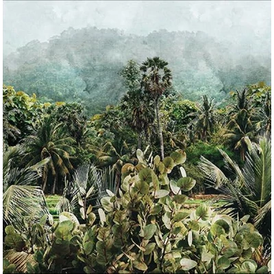 Szalvéta - Esőerdő