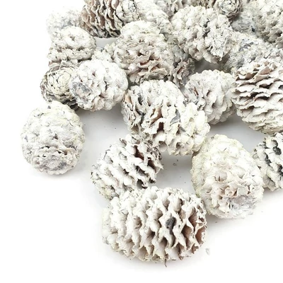 Mini toboz Meridianum, havas - 5db/cs