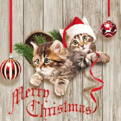 Koktél szalvéta - Mikulás sapis cica