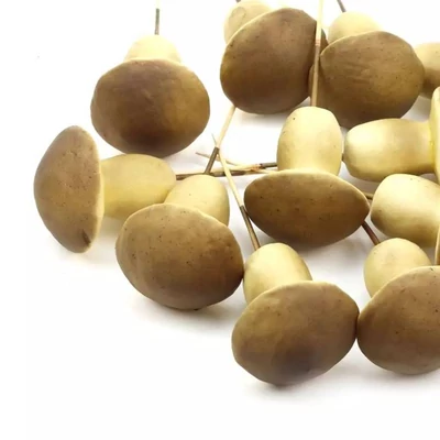 Gomba betűző, barna 5cm