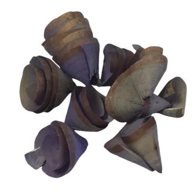 Háncsvirág termés lila