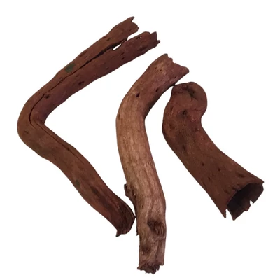 "Gomba tönk" termés, barna