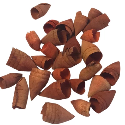  Háncsvirág mini termés, terrakotta