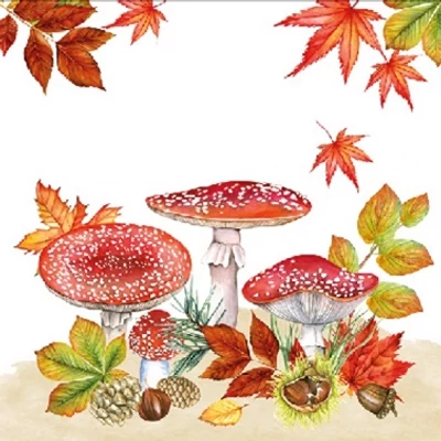 Kokél szalvéta - Gomba és falevelek