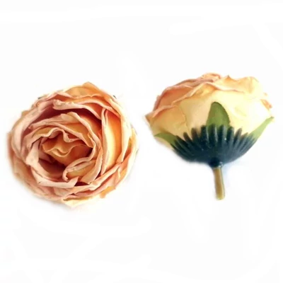 Vintage rózsafej, hamvas rózsa-barack