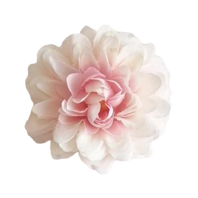 Kicsi dália virágfej - Krém-rózsaszín