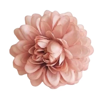 Kicsi dália virágfej - Hamvas barack