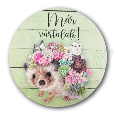 Már vártalak feliratos, sünis tábla, zöld - 13cm