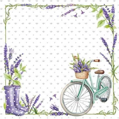 Szalvéta - Levendula, bicikli