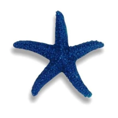 Tengeri csillag poly, kék